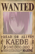 KAEDE Wanted