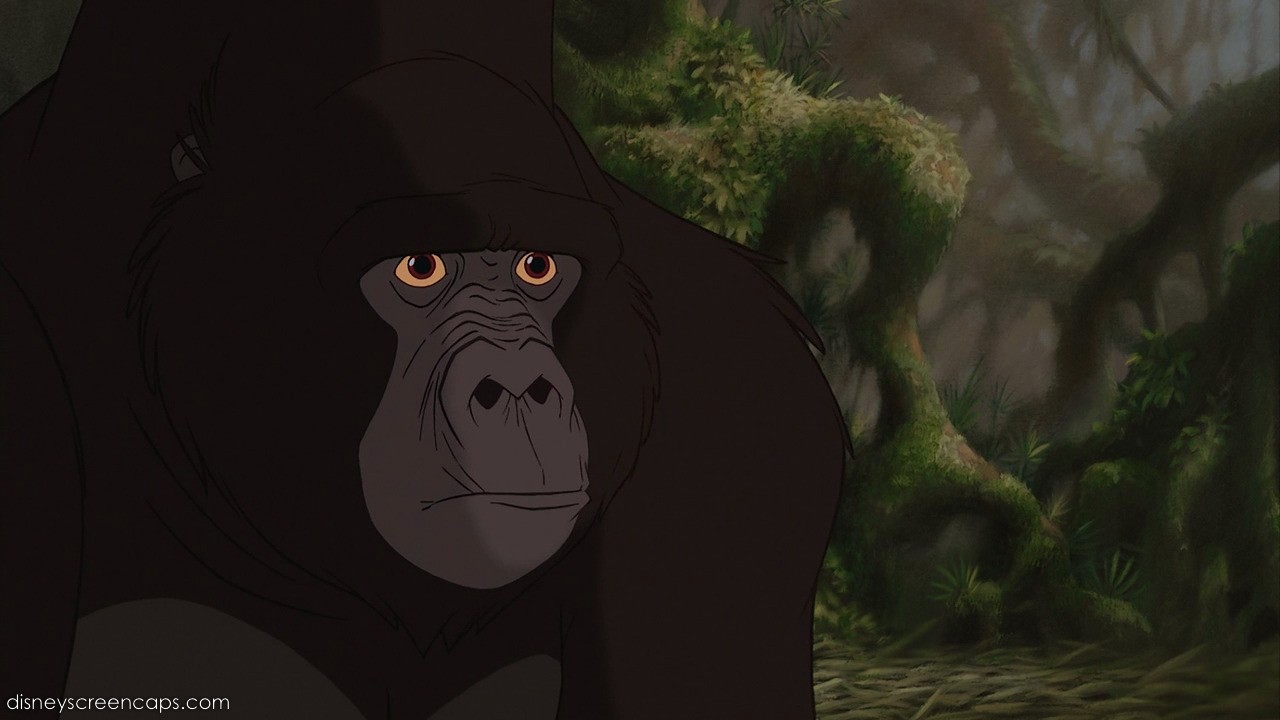 kerchak vs sabor