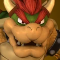 Bowser Portrait