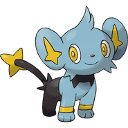 Shinx