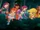 Winx Club