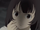 Yuki (Hell Girl)