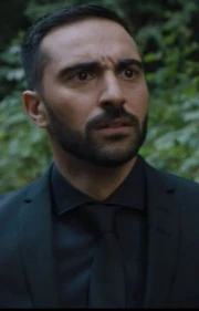 Agent Stone
