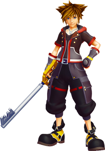 Sora The United Organization Toons Heroes Wiki Fandom