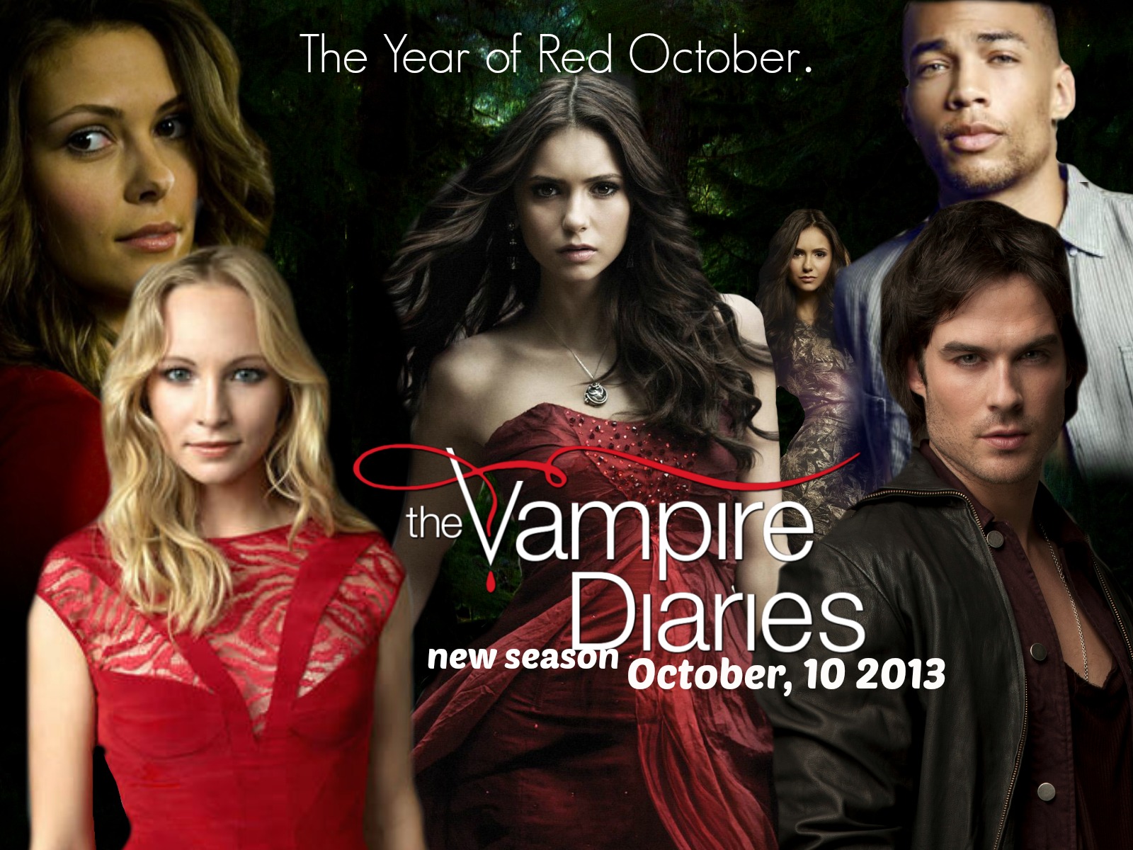 The Vampire Diaries : 2013