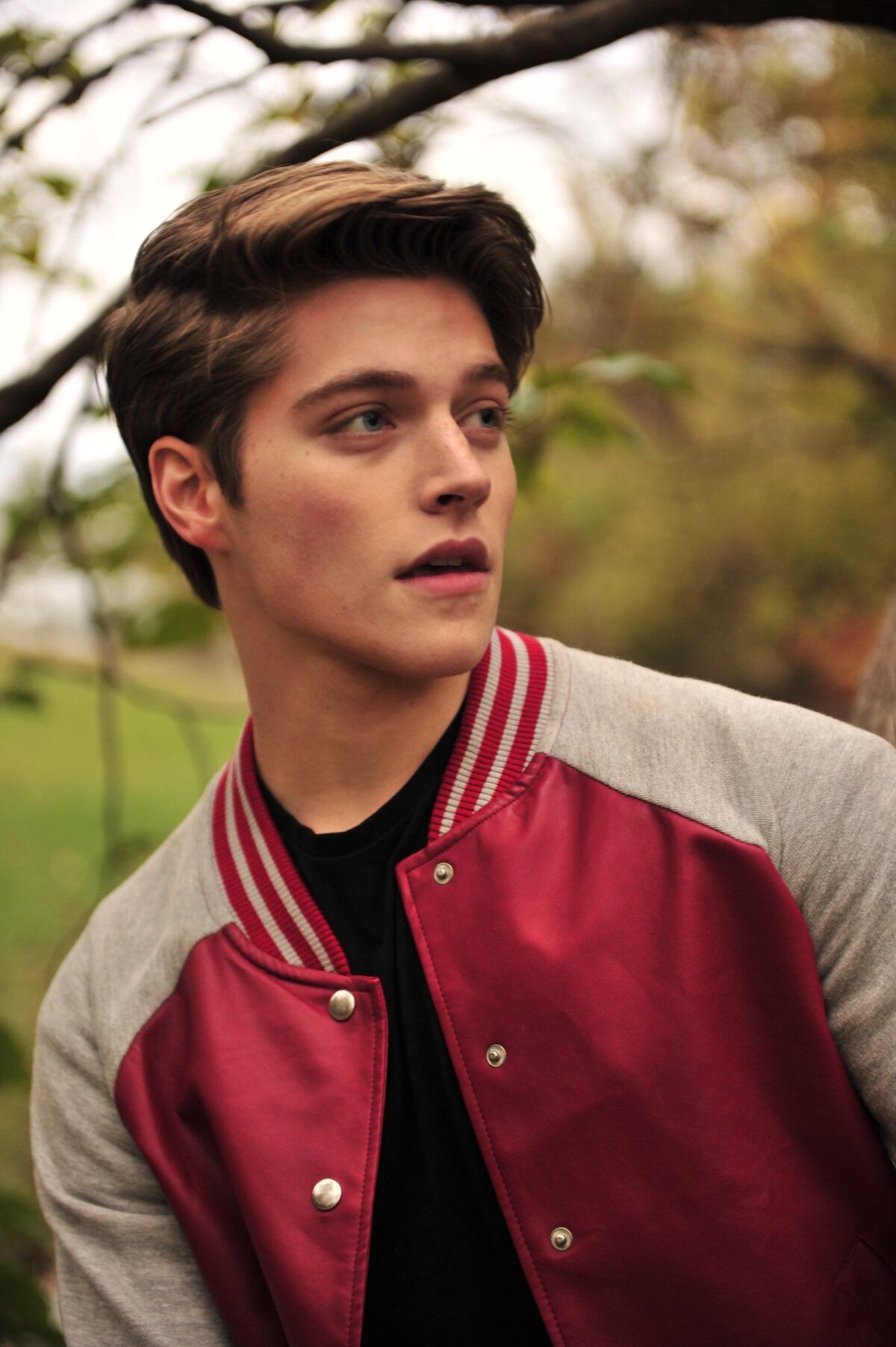 Seth Gilbert-Salvatore TheVampireDiaries+Legacies Fanon Wiki Fandom