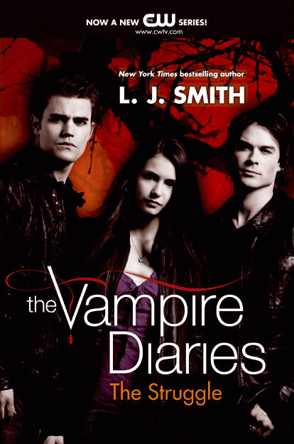 The Struggle, The Vampire Diaries Novels Wiki