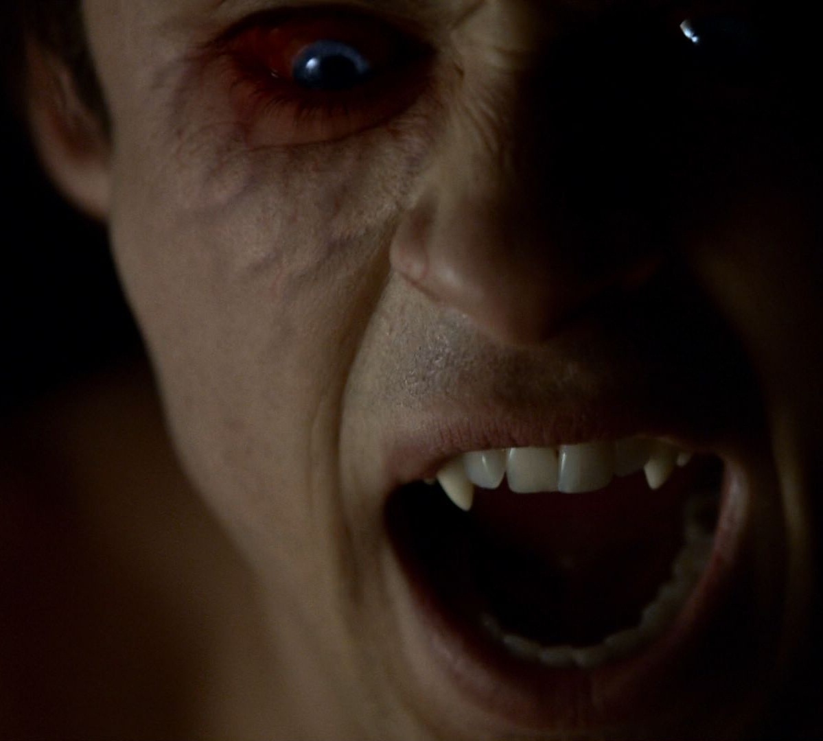 900+ melhor ideia de Diários de um vampiro vampiro, vampire diaries, the vampire diares
