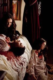 Katherine Pierce, Wiki, ▫Diários de um Vampiro, BR