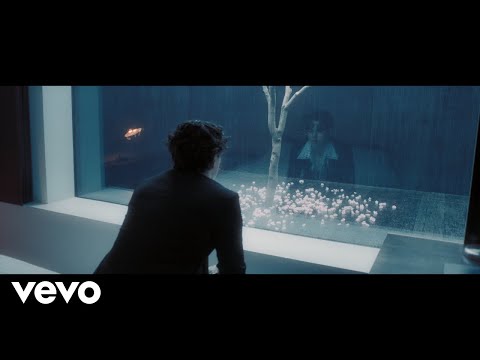 The_Vamps_-_Would_You