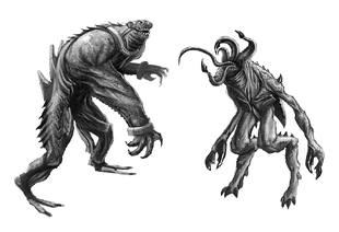 Splitter7.jpg (263 KB)