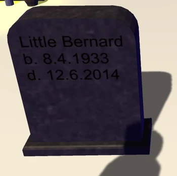 LOACE Little Bernard