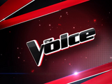 The Voice (U.S. TV series)