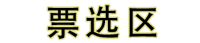 票选区