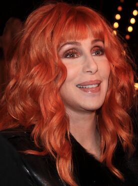 Cher by Ian Smith.jpg