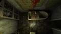 Turgor-10.jpg