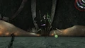 Turgor-2.jpg