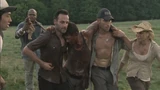 Twd205 1803