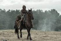 TWD-1124-119.jpg (384 kB)