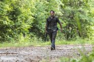 TWD 806 JLD 0619 1181-RT