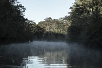 Fear-the-walking-dead-803-081.jpg (464 kB)