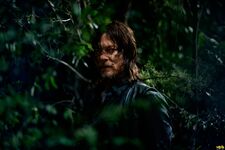 TWD S9 Nature Daryl