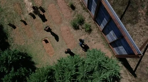 Twd0704-1118
