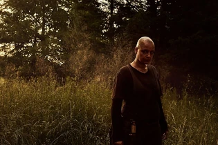 Twd-s10b-alphab-SHADOWS.jpg (130 kB)