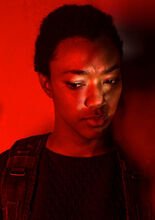 The-walking-dead-season-7-sasha-martin-green-red-portrait-658