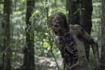 Season-10-First-Look-Walker-the-walking-dead