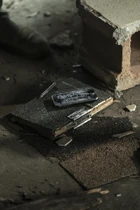 TWD-1124-113.jpg (304 kB)