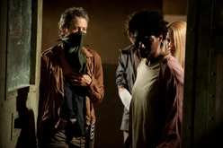 Isolation (339 kB) Isolation