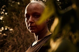 Twd-s10b-alpha-SHADOWS.jpg (82 kB)