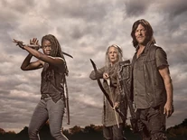 TWD-S9-1000-55.jpg (361 kB)