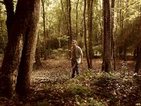 The-walking-dead-9-temporada-promocionais-dos-personagens-novas-020.jpg (4,86 MB)