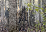 The-walking-dead-1015-whisperers-935