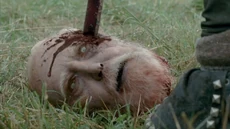 Aniquilado por Michonne tras zombificación.