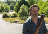 TWD 704 GP 0609 0523