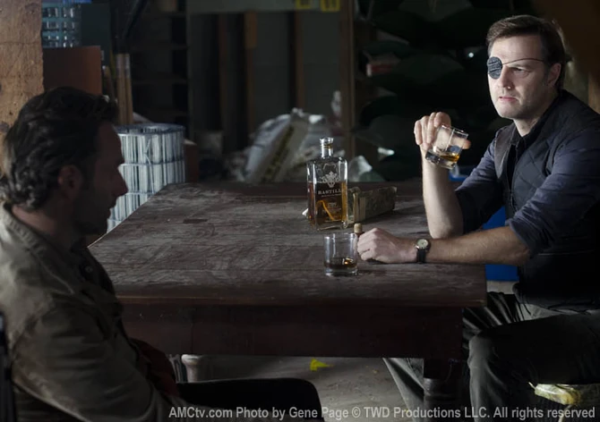 TWD GP 313 1010 0295