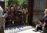 The-walking-dead-episode-605-rick-lincoln-935