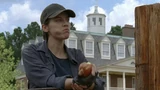 Twd0708-0160