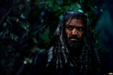 TWD S9 Nature Ezekiel