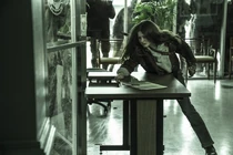 TWD-1124-001.jpg (418 kB)