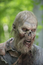 TWD-502-walker