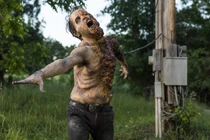 TWD-s8-7-600x400.jpg (158 kB)