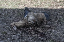 Fear-the-walking-dead-811-001.jpg (499 kB)