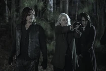 TWD-1124-047.jpg (427 kB)