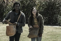 TWD-1124-083.jpg (380 kB)