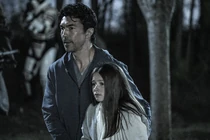 TWD-1124-045.jpg (489 kB)