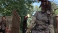Twd0509-2553